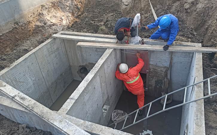 1741078655125973.jpg 64.jpg