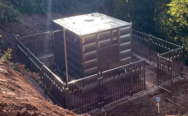 1748499292269731.jpg 300.jpg