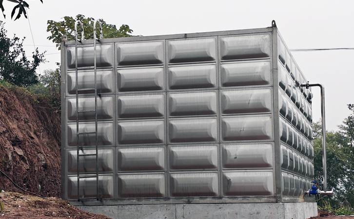 1750381509121643.jpg 301.jpg